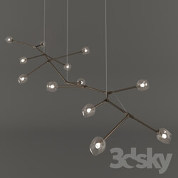 Ceiling light - Branching Lamp 