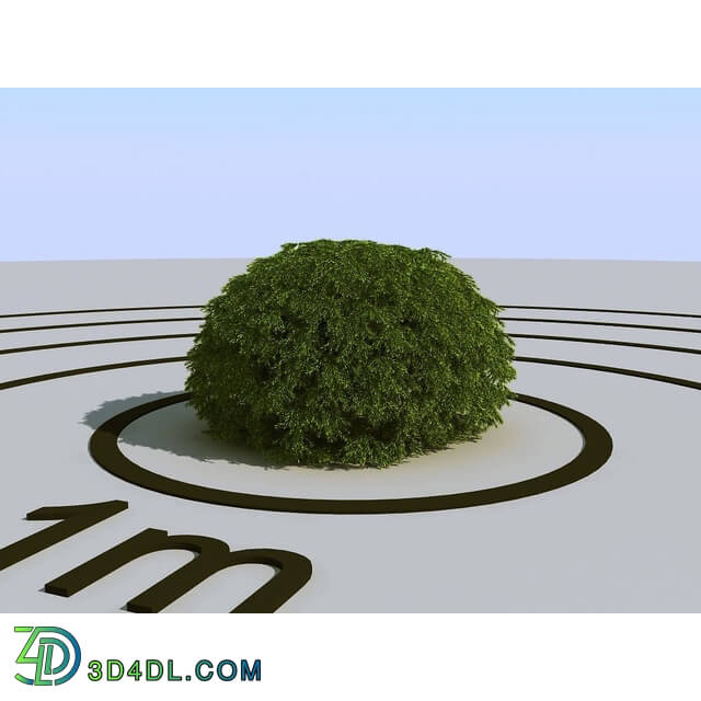 3dMentor HQPlants-02 (077) picea nidiformis