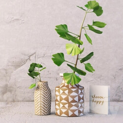 Plant - Kolya vase and gingo branch 