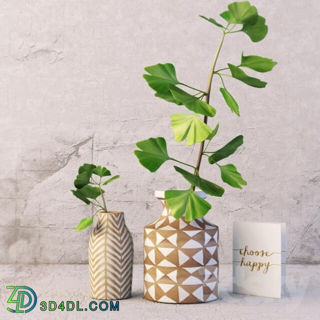 Plant - Kolya vase and gingo branch