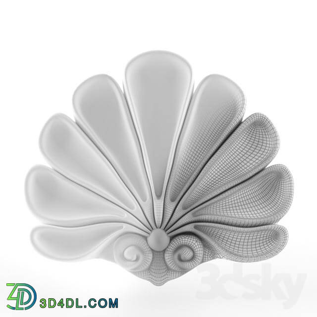 Decorative plaster - shell