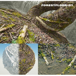 RD-textures Forest Floor 01 