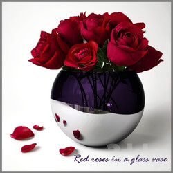 Plant - Red roses in a glass vase 