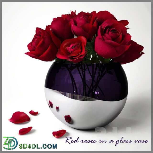 Plant - Red roses in a glass vase