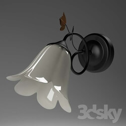 Wall light - Light sconces 