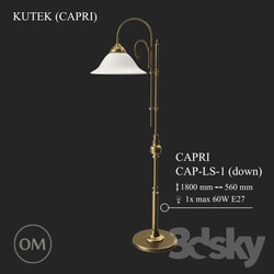Floor lamp - KUTEK _CAPRI_ CAP-LS-1-DOWN 