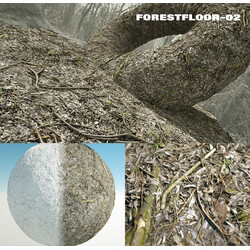 RD-textures Forest Floor 02 