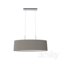 Ceiling light - 31581 PASTERI suspension 