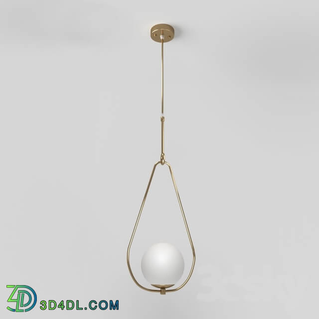 Ceiling light - Hoop 41.4250