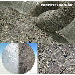 RD-textures Forest Floor 03 