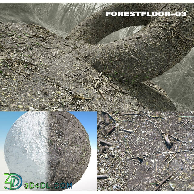 RD-textures Forest Floor 03