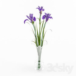 Plant - vase with flowers 