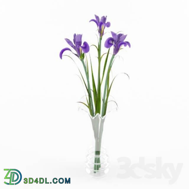 Plant - vase with flowers