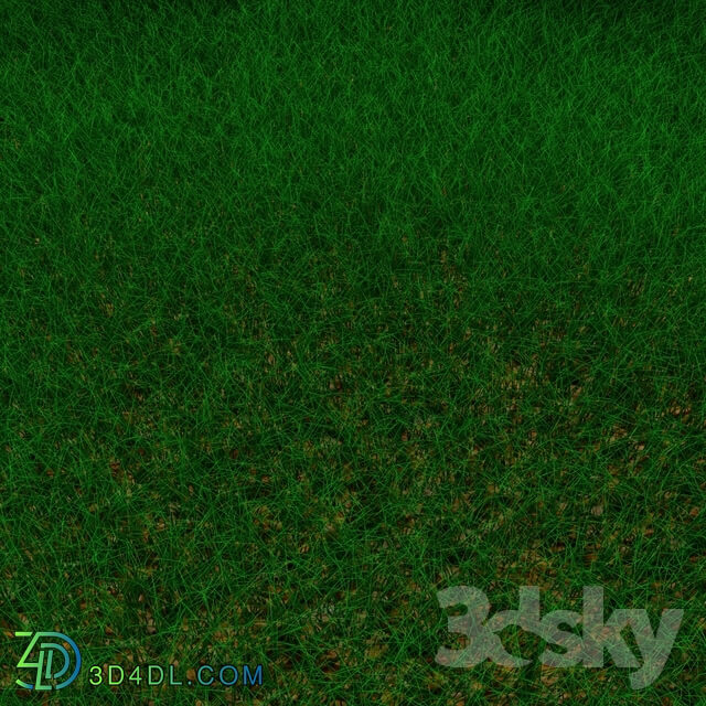Grass - grass