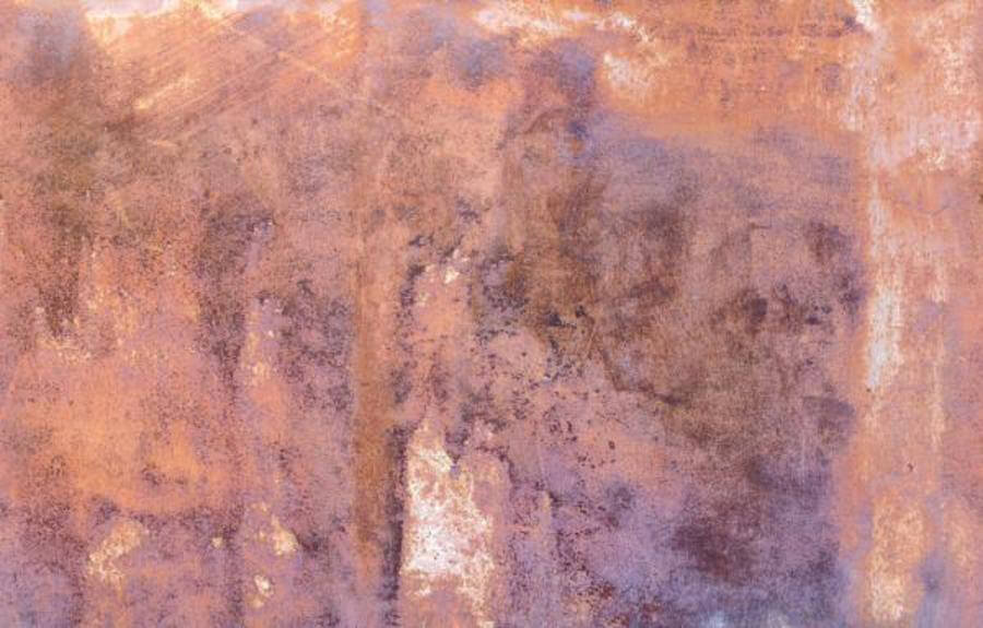 Rust Plain (024)