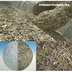 RD-textures Forest Floor 04 