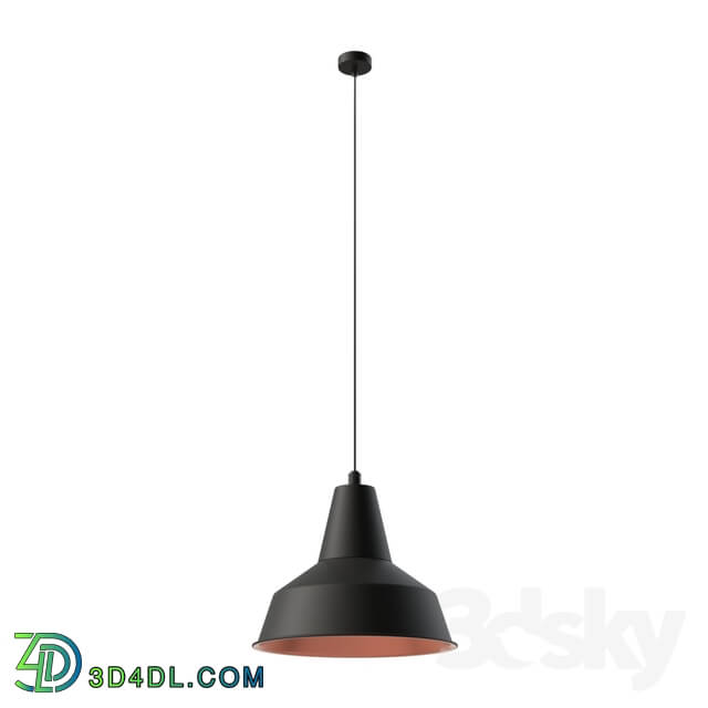 Ceiling light - 49387 Suspension SOMERTON_ 1х60W _E27__ Ø350_ steel_ black_ copper