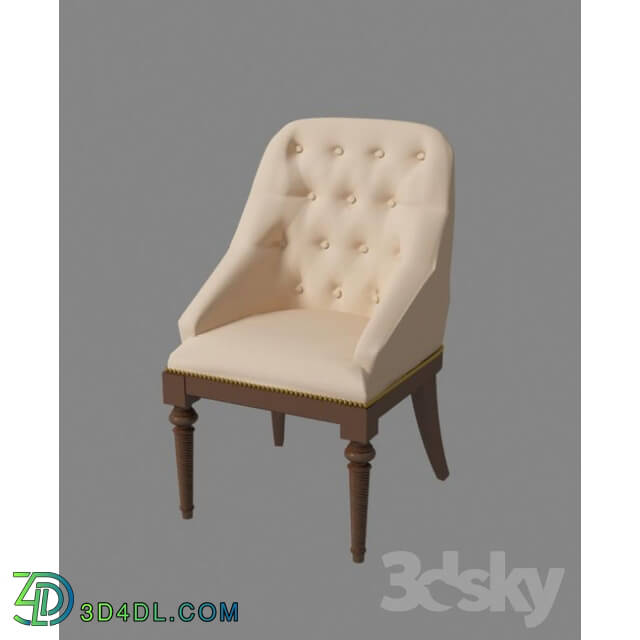 Arm chair - Chair