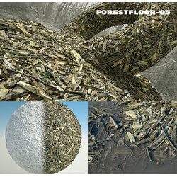 RD-textures Forest Floor 05 