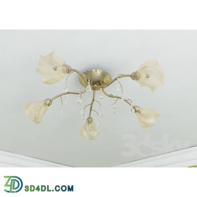 Ceiling light - Chandelier