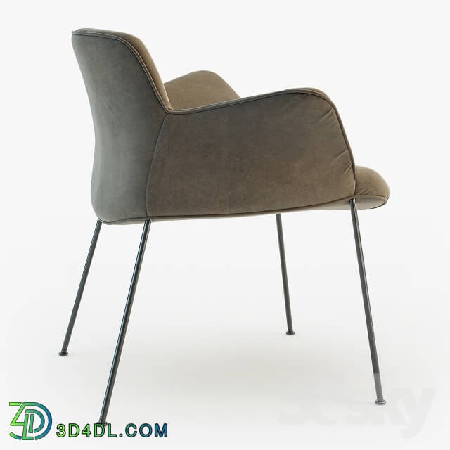 Chair - Walter Knoll chair BURGAZ