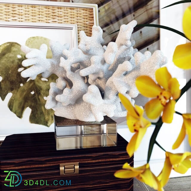 Decorative set - Decoration set Cymbidium Orchid