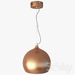 Ceiling light - Lussole LOFT LSN-6106-01 