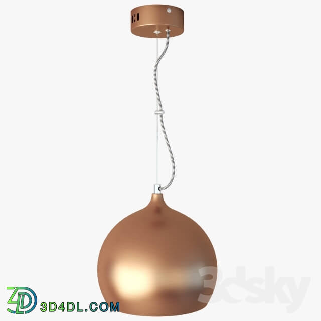 Ceiling light - Lussole LOFT LSN-6106-01