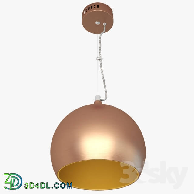 Ceiling light - Lussole LOFT LSN-6106-01