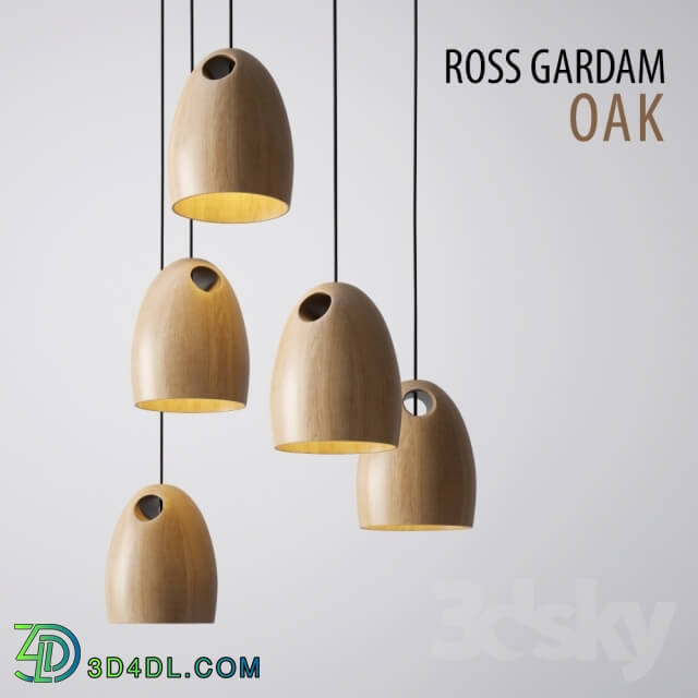 Ceiling light - ROSS GARDAM