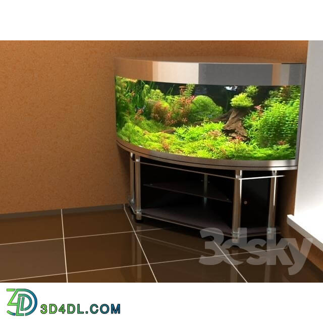 Other decorative objects - Aquarium