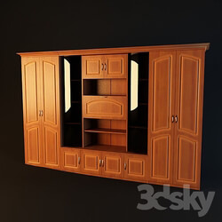 Wardrobe _ Display cabinets - The Wall Of The Lily 