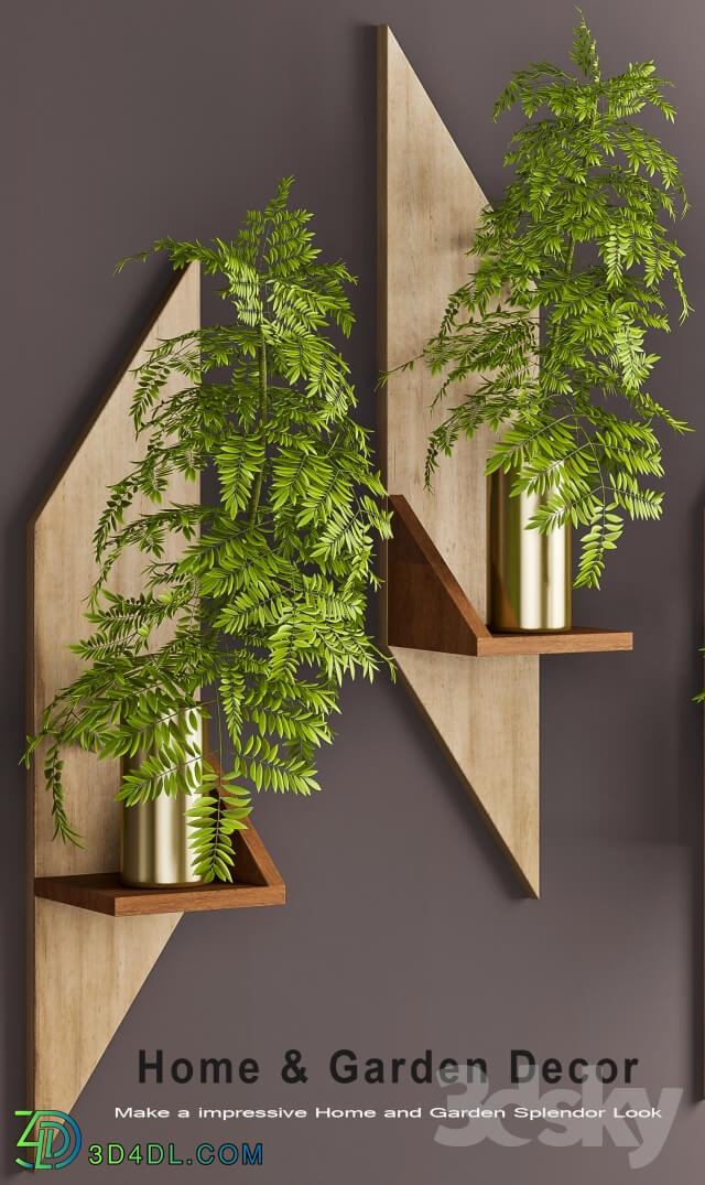 Plant - Decorative Set - 11