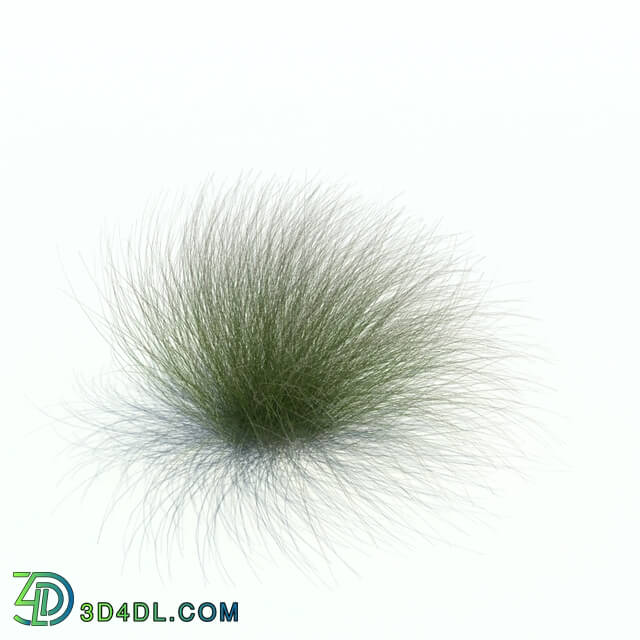 ArchModels Vol126 (046) Stipa tenuifolia v1