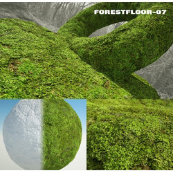 RD-textures Forest Floor 07 