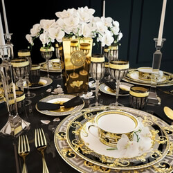 Tableware - Serving Versace Prestige Gala 