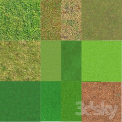 Miscellaneous - Grass texture 