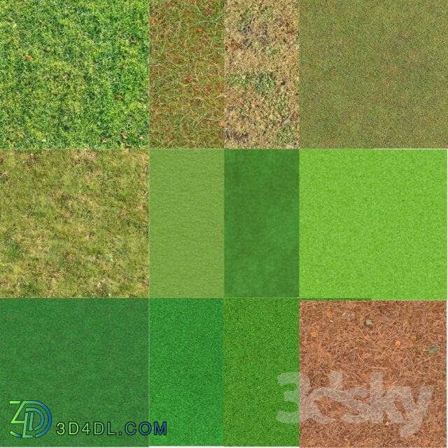 Miscellaneous - Grass texture