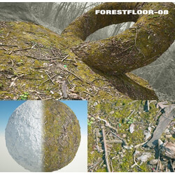 RD-textures Forest Floor 08 