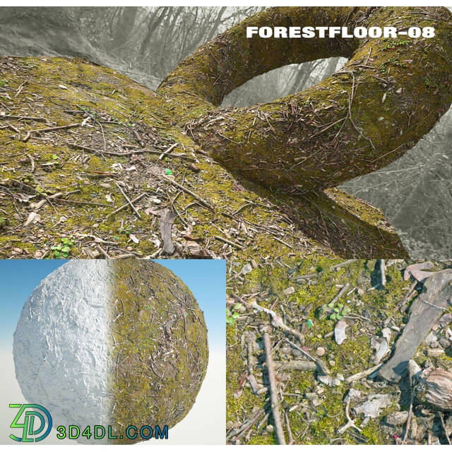 RD-textures Forest Floor 08