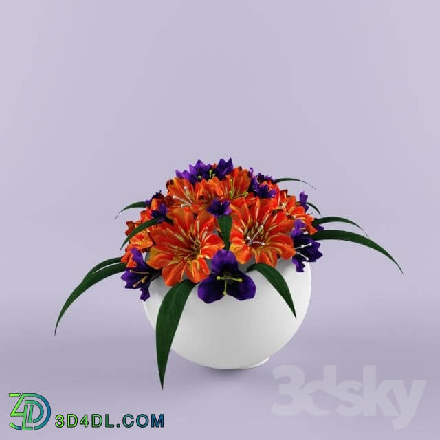 Plant - bouquet decoration