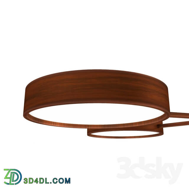 Ceiling light - lighting