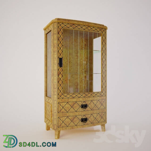 Wardrobe _ Display cabinets - showcase