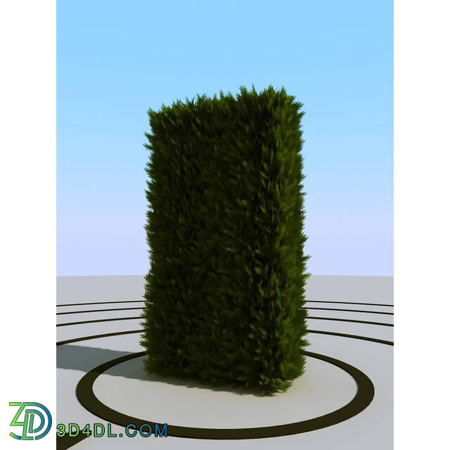 3dMentor HQPlants-02 (085) thuja hedge