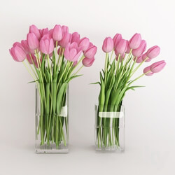 Plant - Two vases with pink tulips 