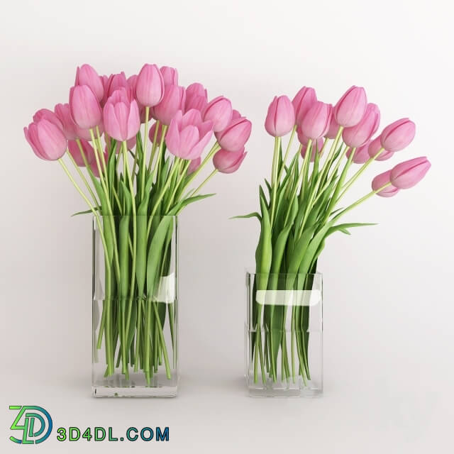 Plant - Two vases with pink tulips