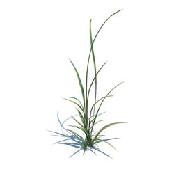 ArchModels Vol124 (016) simple grass v1 