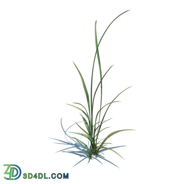ArchModels Vol124 (016) simple grass v1