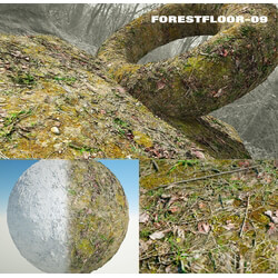 RD-textures Forest Floor 09 