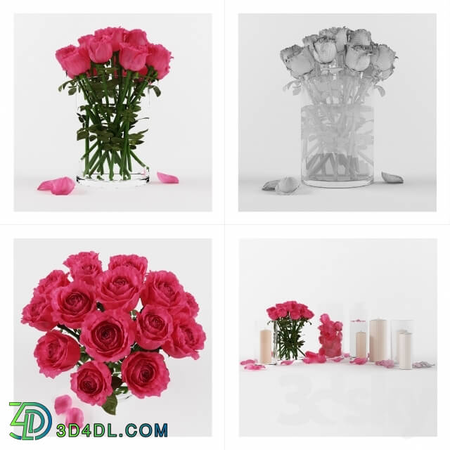 Plant - Decorative set